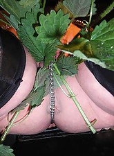 Top Pain photo 13 of 14