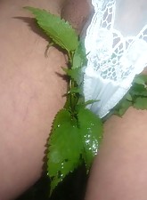 Top Pain photo 8 of 14