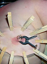 Top Pain photo 5 of 14