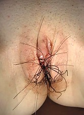 Top Pain photo 12 of 14