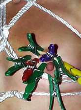 Top Pain photo 5 of 14