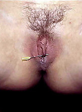 Top Pain photo 6 of 14