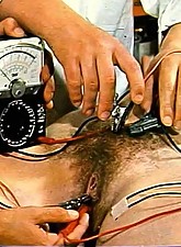 Top Pain photo 6 of 14