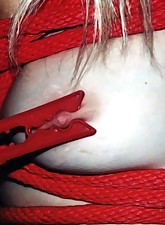 Top Pain photo 1 of 14