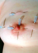 Top Pain photo 13 of 14