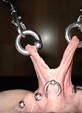 Top Pain photo 11 of 14