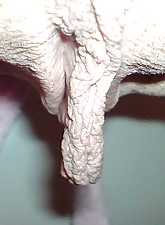 Bodybuilders Porn photo 3 of 10