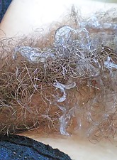 Vaginal Cumshots photo 10 of 10