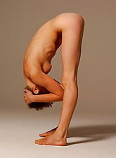 Flexible Ladies photo 2 of 10