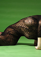Flexible Ladies photo 4 of 10
