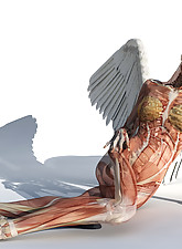 Amazing 3D Sex photo 1 of 10