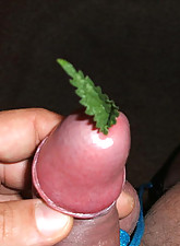 Urethral Play photo 1 of 6