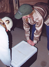 Downblouse Shots photo 10 of 10