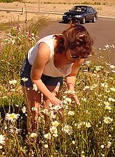 Downblouse Shots photo 1 of 10