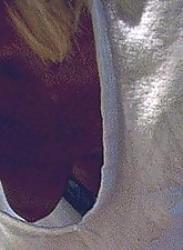 Downblouse Shots photo 1 of 10