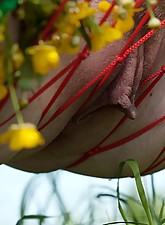 Hairy Pussy Cuties photo 6 of 10