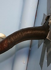 I Love BBC photo 11 of 12