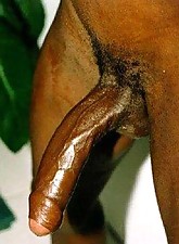 I Love BBC photo 9 of 12