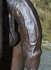 I Love BBC photo 2 of 12