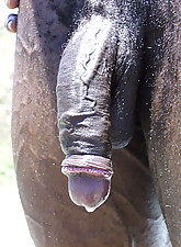 I Love BBC photo 3 of 12