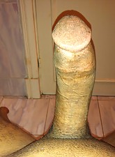 I Love BBC photo 4 of 12