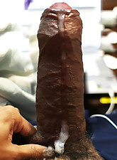 I Love BBC photo 11 of 12