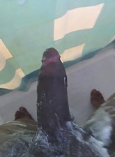 I Love BBC photo 11 of 12