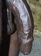 I Love BBC photo 10 of 12