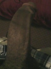 I Love BBC photo 7 of 12