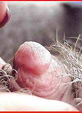 Monsters Pussy photo 4 of 10