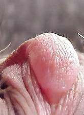 Monsters Pussy photo 6 of 10