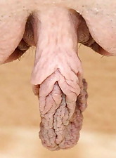 Monsters Pussy photo 2 of 10