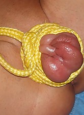 Extreme Pumping photo 1 of 14