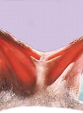 Extreme Pumping photo 5 of 8