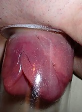 Extreme Pumping photo 17 of 17