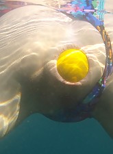 Incredible Anal Insertions photo 5 of 10