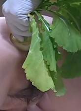 Incredible Anal Insertions photo 6 of 10