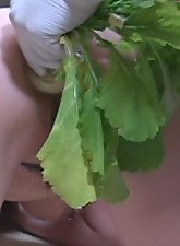 Incredible Anal Insertions photo 7 of 10
