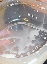 Weird Porn Pics photo 15 of 16