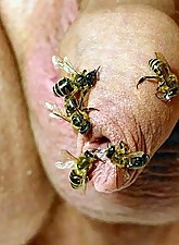 Weird Porn Pics photo 1 of 8