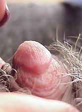 Weird Porn Pics photo 6 of 8