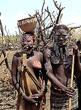 Shocking Africa photo 3 of 4