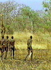 Shocking Africa photo 3 of 4