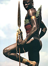 Shocking Africa photo 1 of 4