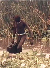 Shocking Africa photo 1 of 4