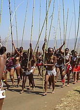 Shocking Africa photo 4 of 4