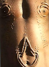 Shocking Africa photo 1 of 4