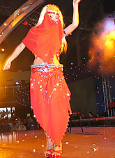 VIP Strip Shows photo 9 of 9