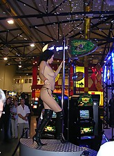 VIP Strip Shows photo 6 of 9