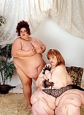 Porky Beauties photo 4 of 10